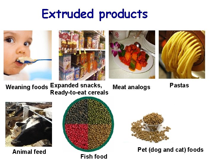 Extruded products Weaning foods Expanded snacks, Meat analogs Ready-to-eat cereals Animal feed Pastas Pet