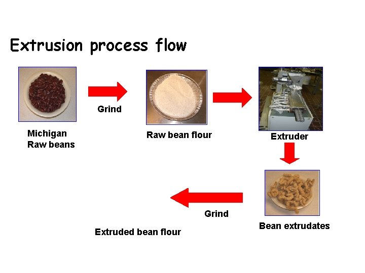 Extrusion process flow Grind Michigan Raw beans Raw bean flour Extruder Grind Extruded bean