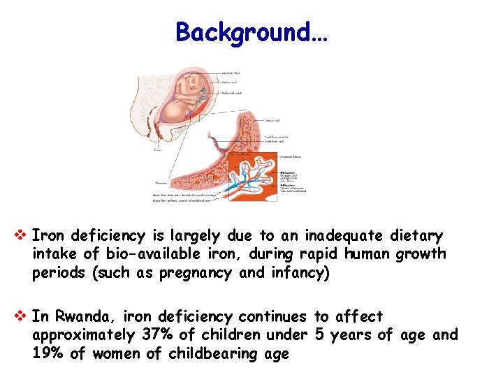 Background… v Iron deficiency is largely due to an inadequate dietary intake of bio-available