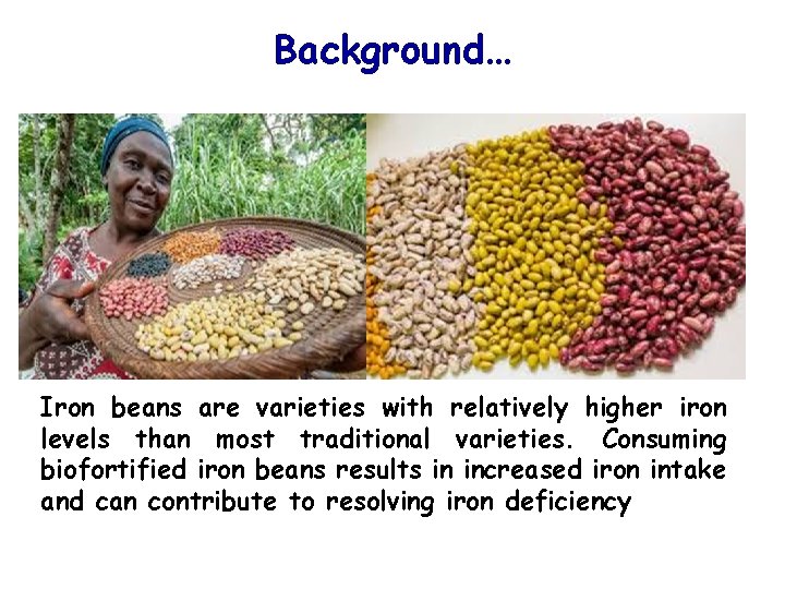 Background… Iron beans are varieties with relatively higher iron levels than most traditional varieties.