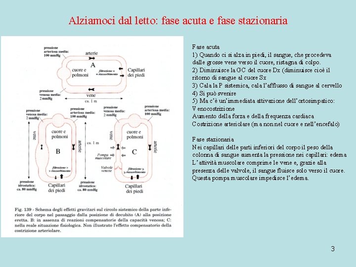 Alziamoci dal letto: fase acuta e fase stazionaria Fase acuta 1) Quando ci si