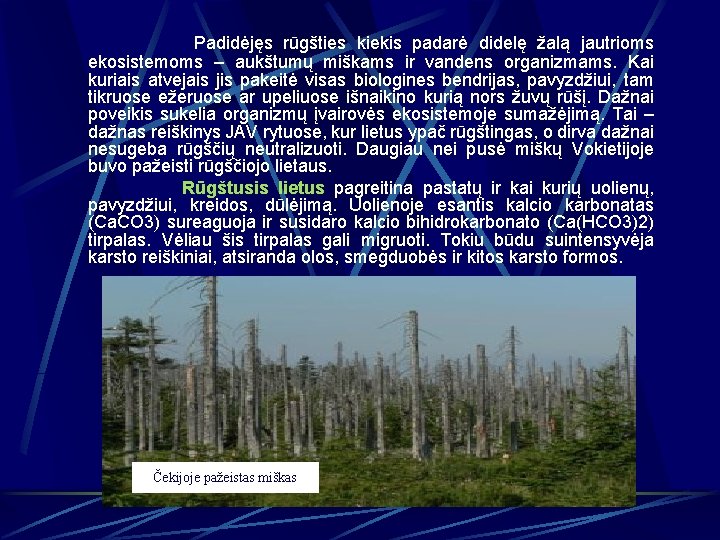 Padidėjęs rūgšties kiekis padarė didelę žalą jautrioms ekosistemoms – aukštumų miškams ir vandens organizmams.