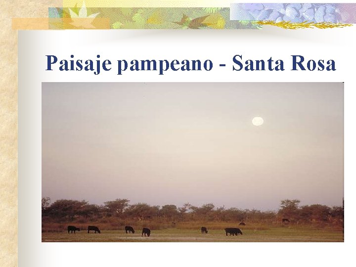 Paisaje pampeano - Santa Rosa 