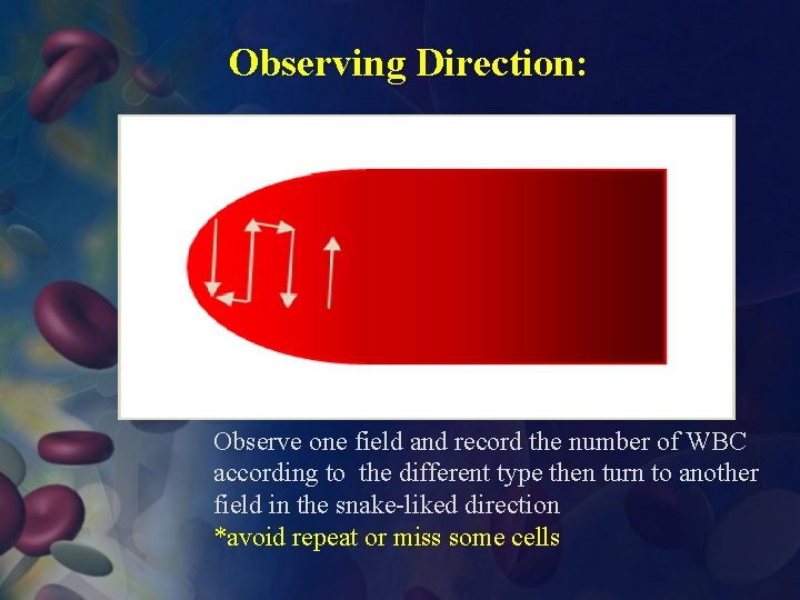 Observing Direction: Observe one field and record the number of WBC according to the