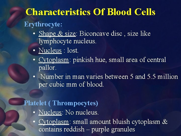 Characteristics Of Blood Cells Erythrocyte: • Shape & size: Biconcave disc , size like