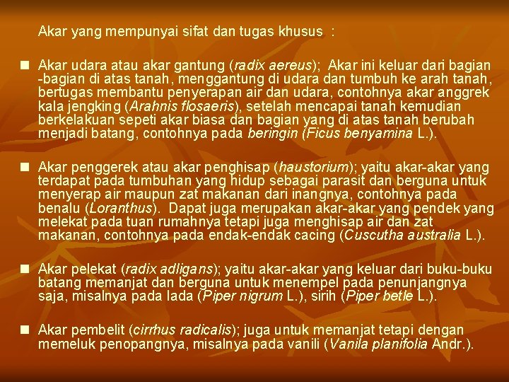 Akar yang mempunyai sifat dan tugas khusus : n Akar udara atau akar gantung