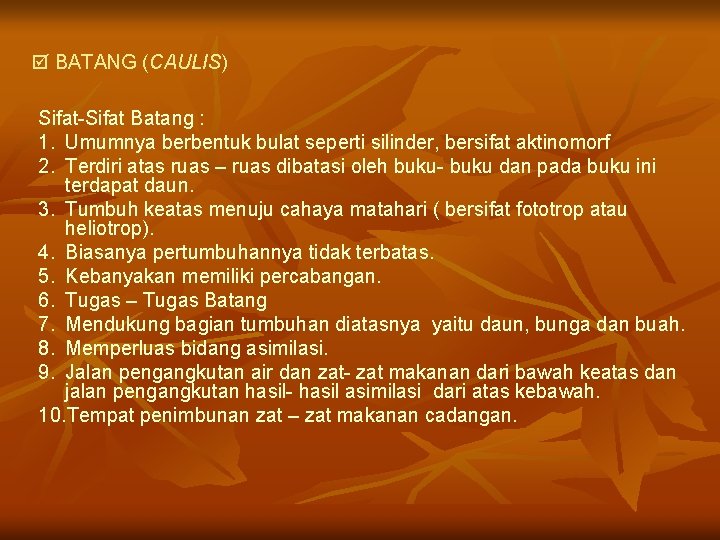  BATANG (CAULIS) Sifat-Sifat Batang : 1. Umumnya berbentuk bulat seperti silinder, bersifat aktinomorf