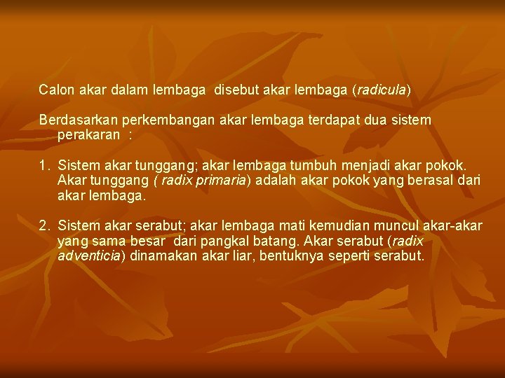 Calon akar dalam lembaga disebut akar lembaga (radicula) Berdasarkan perkembangan akar lembaga terdapat dua