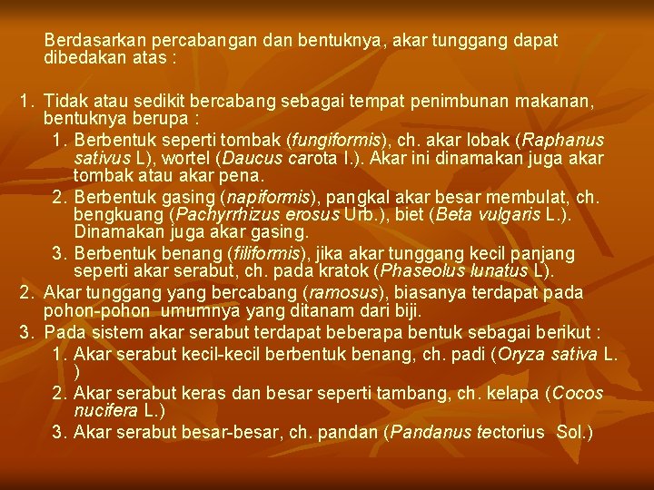 Berdasarkan percabangan dan bentuknya, akar tunggang dapat dibedakan atas : 1. Tidak atau sedikit