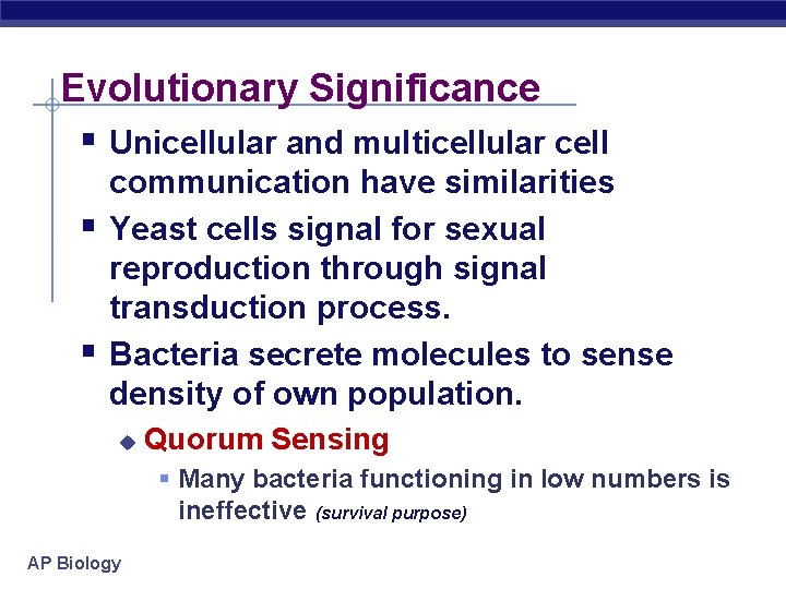 Evolutionary Significance § Unicellular and multicellular cell § § communication have similarities Yeast cells