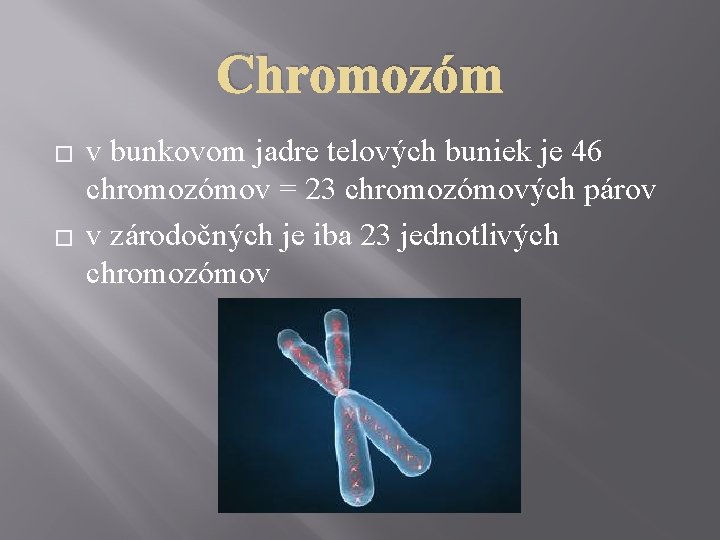Chromozóm � � v bunkovom jadre telových buniek je 46 chromozómov = 23 chromozómových
