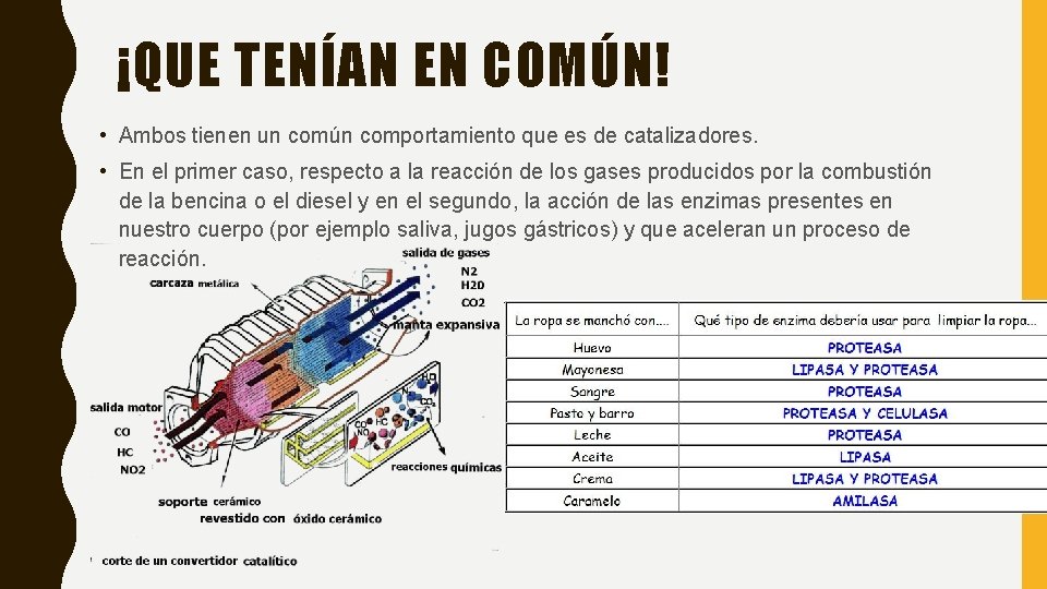 ¡QUE TENÍAN EN COMÚN! • Ambos tienen un común comportamiento que es de catalizadores.