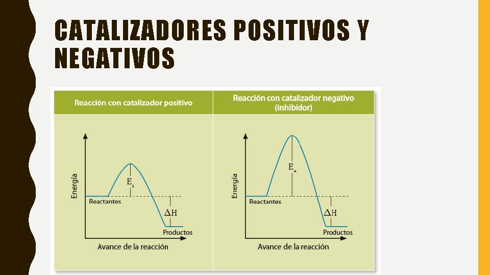 CATALIZADORES POSITIVOS Y NEGATIVOS 