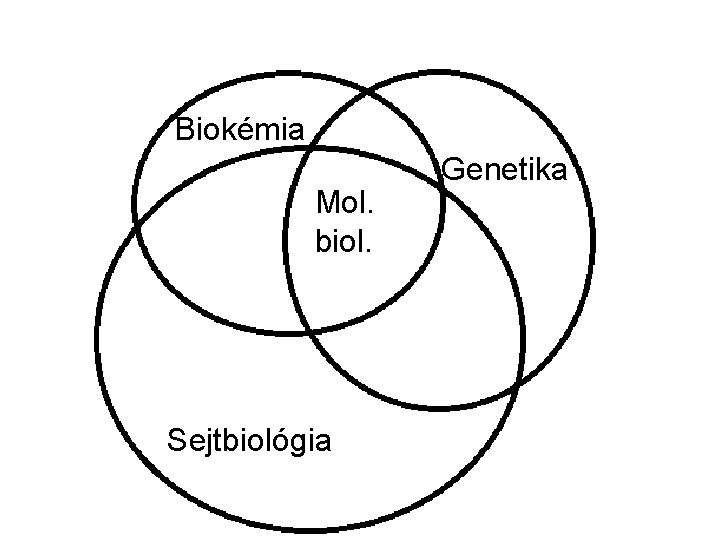 Biokémia Mol. biol. Sejtbiológia Genetika 