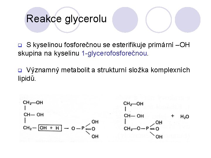 Reakce glycerolu S kyselinou fosforečnou se esterifikuje primární –OH skupina na kyselinu 1 -glycerofosforečnou. Reakce glycerolu S kyselinou fosforečnou se esterifikuje primární –OH skupina na kyselinu 1 -glycerofosforečnou.