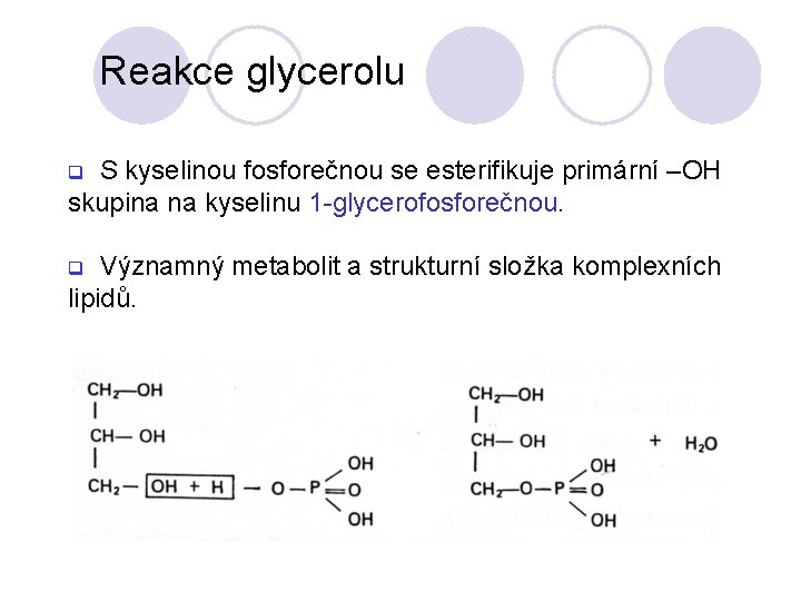 Reakce glycerolu S kyselinou fosforečnou se esterifikuje primární –OH skupina na kyselinu 1 -glycerofosforečnou.