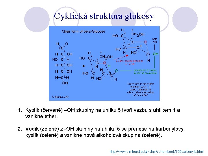 Cyklická struktura glukosy 1. Kyslík (červeně) –OH skupiny na uhlíku 5 tvoří vazbu s