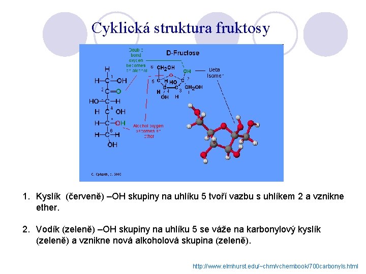 Cyklická struktura fruktosy 1. Kyslík (červeně) –OH skupiny na uhlíku 5 tvoří vazbu s