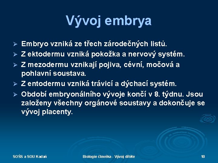 Vývoj embrya Ø Ø Ø Embryo vzniká ze třech zárodečných listů. Z ektodermu vzniká