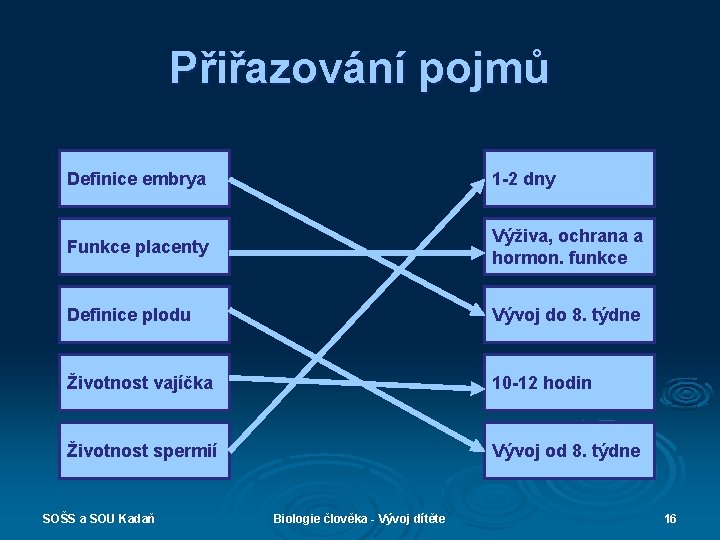 Přiřazování pojmů Definice embrya 1 -2 dny Funkce placenty Výživa, ochrana a hormon. funkce