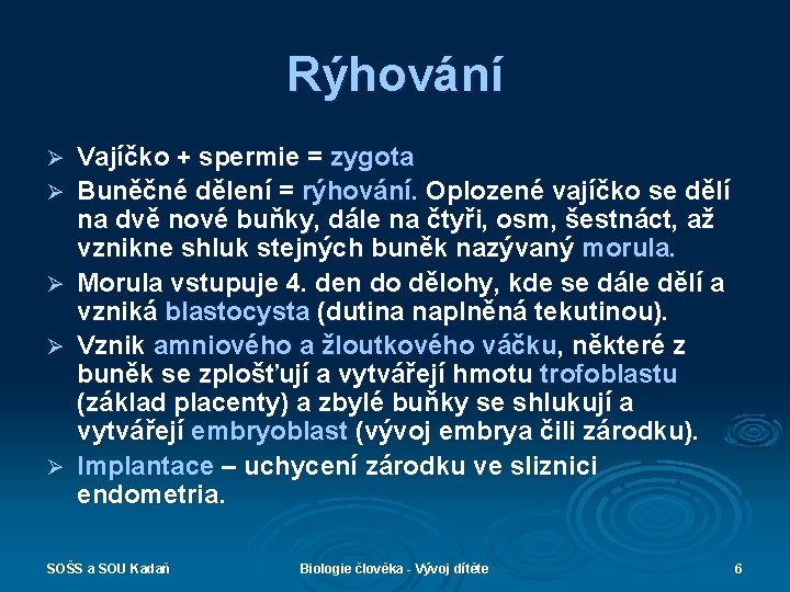 Rýhování Ø Ø Ø Vajíčko + spermie = zygota Buněčné dělení = rýhování. Oplozené