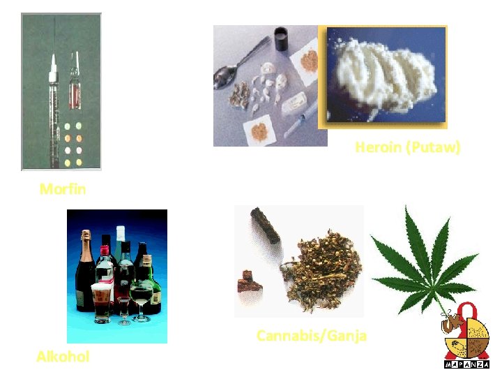 Heroin (Putaw) Morfin Alkohol Cannabis/Ganja 