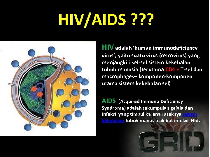 HIV/AIDS ? ? ? HIV adalah ’human immunodeficiency virus’, yaitu suatu virus (retrovirus) yang