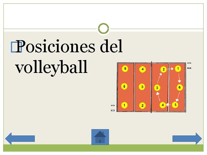 � Posiciones del volleyball 