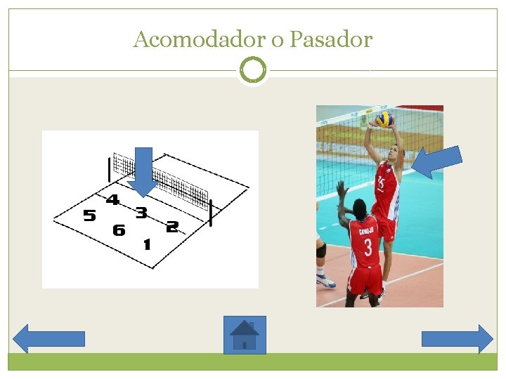 Acomodador o Pasador 