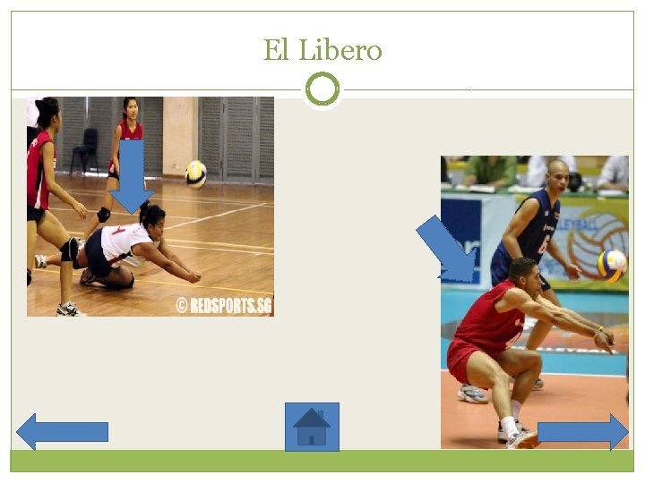 El Libero 