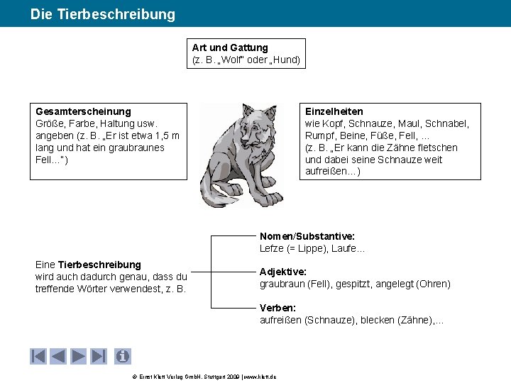 Die Tierbeschreibung Art und Gattung (z. B. „Wolf“ oder „Hund) Gesamterscheinung Größe, Farbe, Haltung