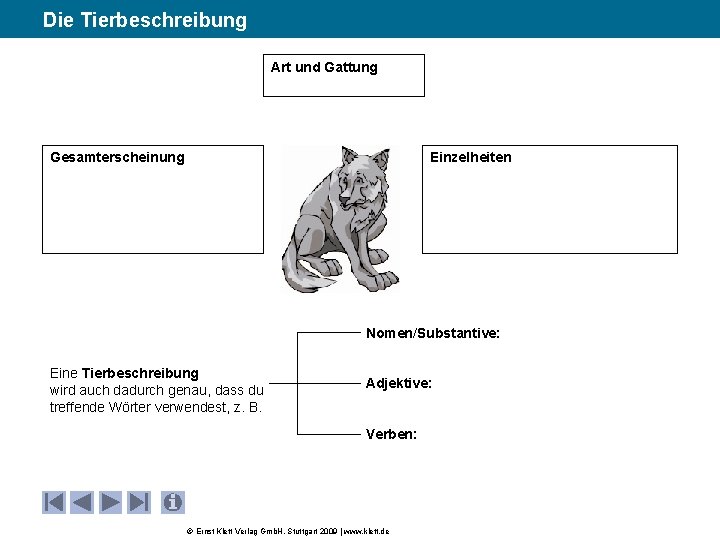 Die Tierbeschreibung Art und Gattung Gesamterscheinung Einzelheiten Nomen/Substantive: Eine Tierbeschreibung wird auch dadurch genau,