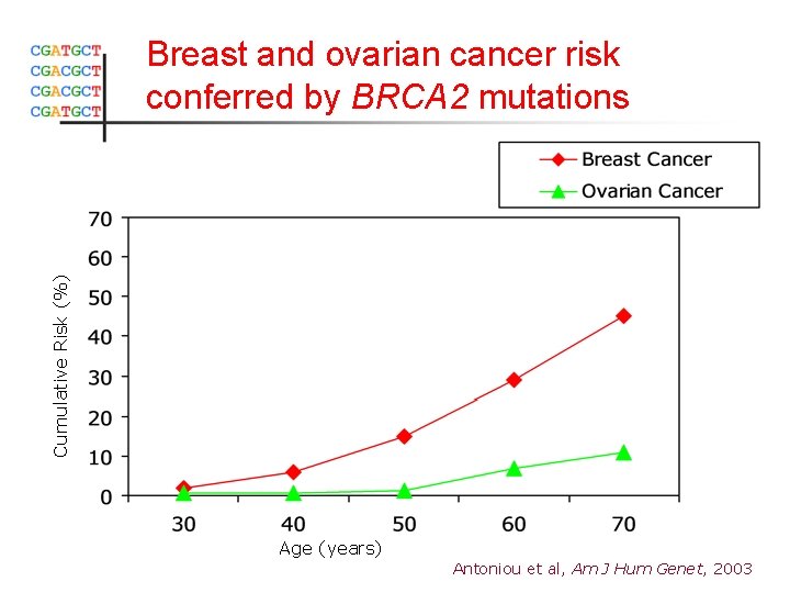 Cumulative Risk (%) Breast and ovarian cancer risk conferred by BRCA 2 mutations Age