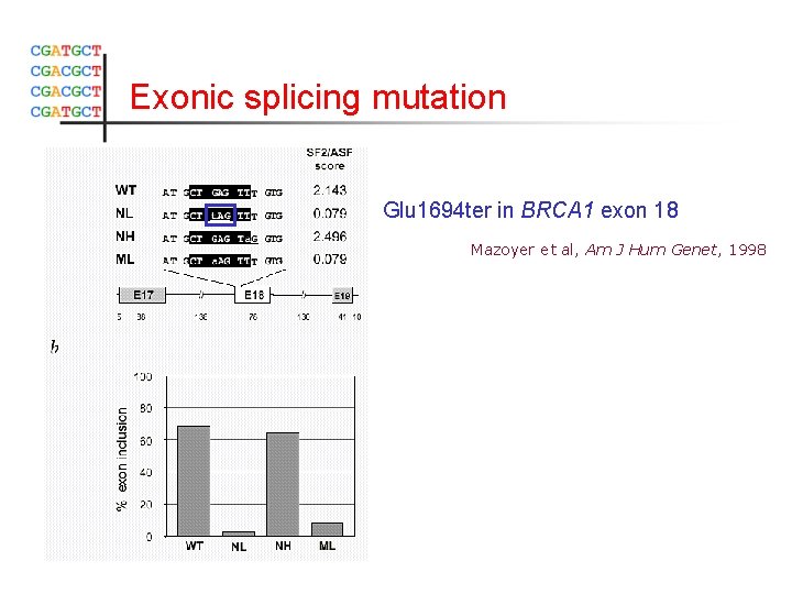 Exonic splicing mutation Glu 1694 ter in BRCA 1 exon 18 Mazoyer et al,