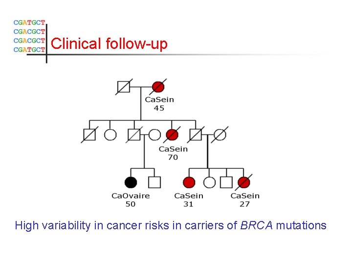 Clinical follow-up High variability in cancer risks in carriers of BRCA mutations 