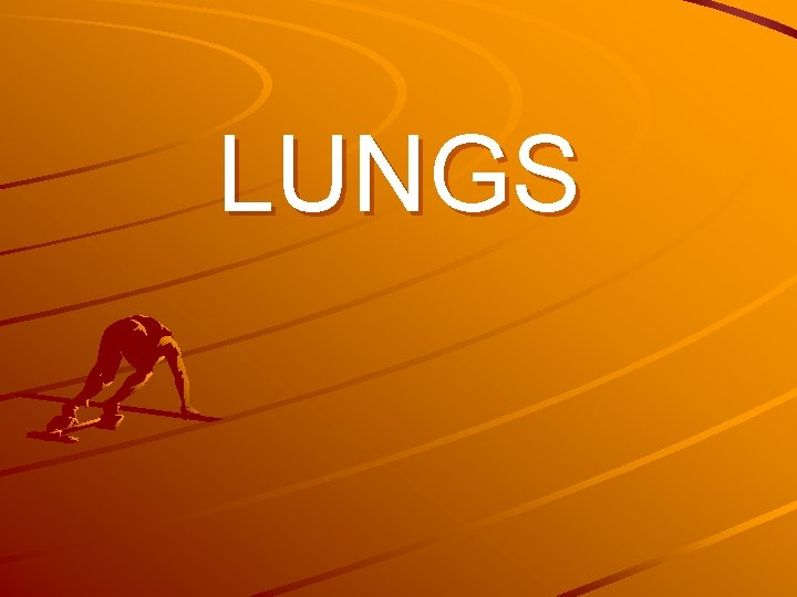 LUNGS 