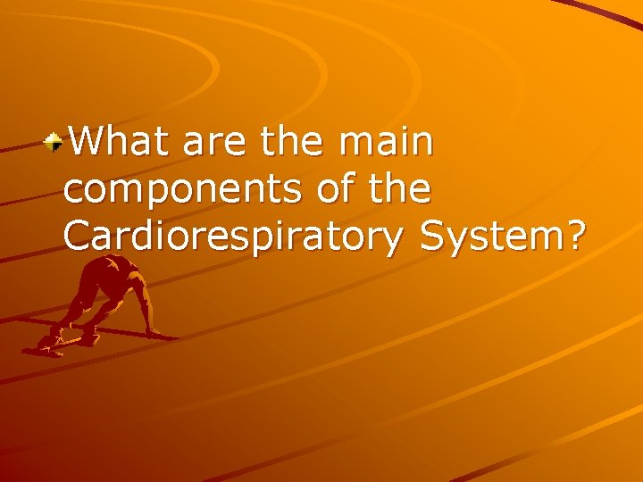 What are the main components of the Cardiorespiratory System? 