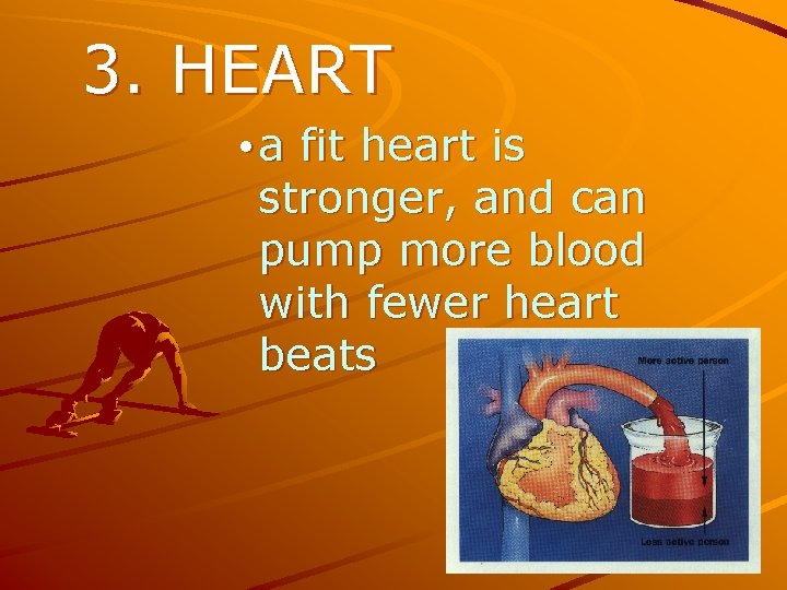 3. HEART • a fit heart is stronger, and can pump more blood with