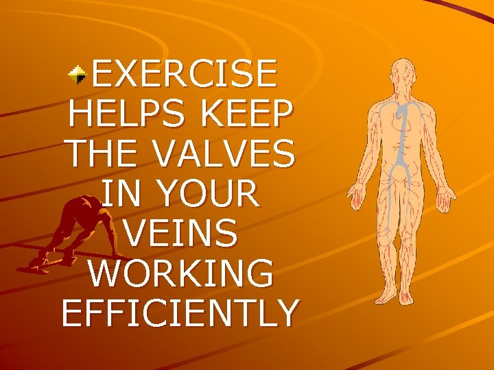 EXERCISE HELPS KEEP THE VALVES IN YOUR VEINS WORKING EFFICIENTLY 