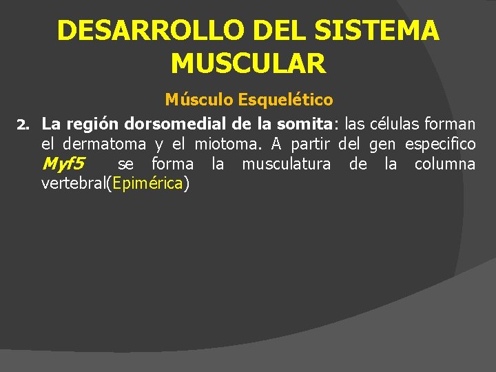 DESARROLLO DEL SISTEMA MUSCULAR Músculo Esquelético 2. La región dorsomedial de la somita: las