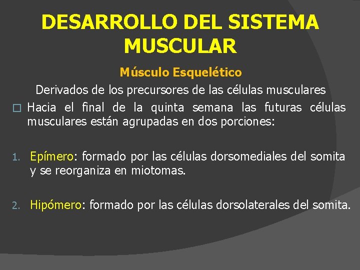 DESARROLLO DEL SISTEMA MUSCULAR Músculo Esquelético Derivados de los precursores de las células musculares