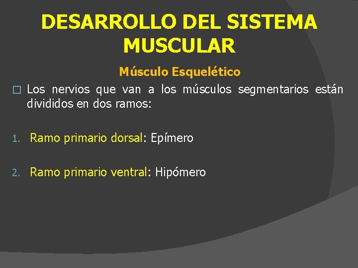 DESARROLLO DEL SISTEMA MUSCULAR Músculo Esquelético � Los nervios que van a los músculos