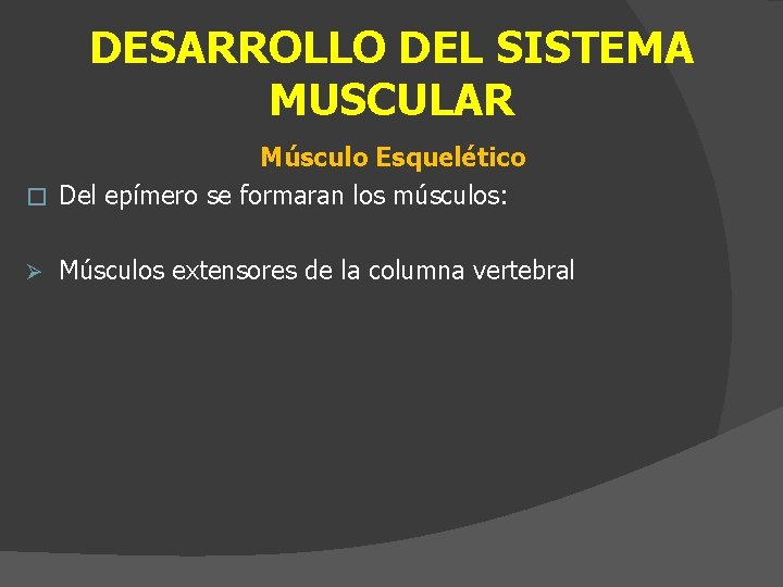 DESARROLLO DEL SISTEMA MUSCULAR Músculo Esquelético � Del epímero se formaran los músculos: Ø
