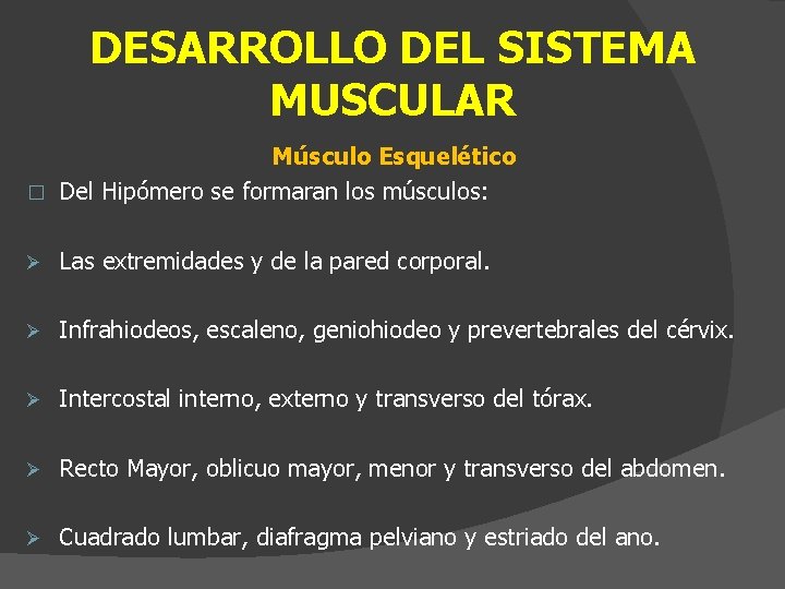 DESARROLLO DEL SISTEMA MUSCULAR Músculo Esquelético � Del Hipómero se formaran los músculos: Ø
