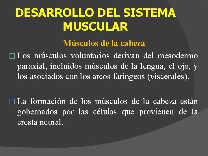 DESARROLLO DEL SISTEMA MUSCULAR Músculos de la cabeza � Los músculos voluntarios derivan del