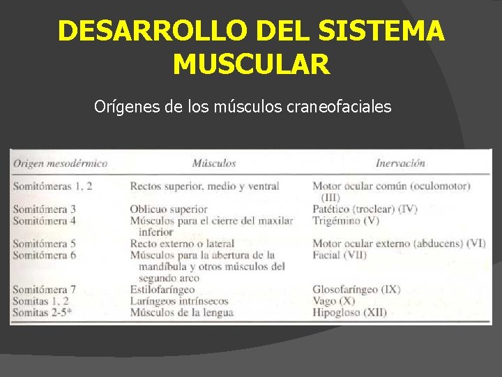 DESARROLLO DEL SISTEMA MUSCULAR Orígenes de los músculos craneofaciales 