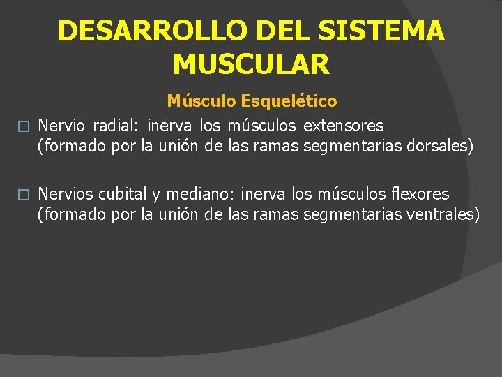 DESARROLLO DEL SISTEMA MUSCULAR Músculo Esquelético � Nervio radial: inerva los músculos extensores (formado