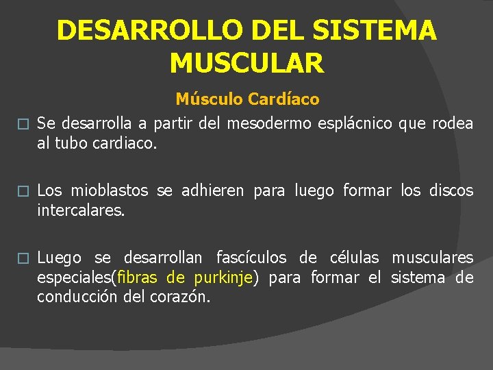 DESARROLLO DEL SISTEMA MUSCULAR Músculo Cardíaco � Se desarrolla a partir del mesodermo esplácnico