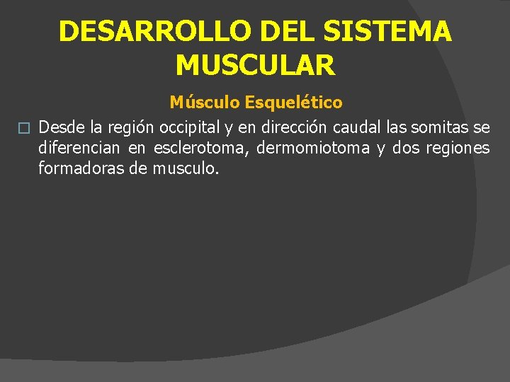 DESARROLLO DEL SISTEMA MUSCULAR Músculo Esquelético � Desde la región occipital y en dirección