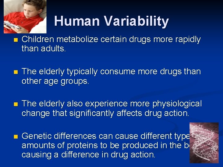 Human Variability n Children metabolize certain drugs more rapidly than adults. n The elderly